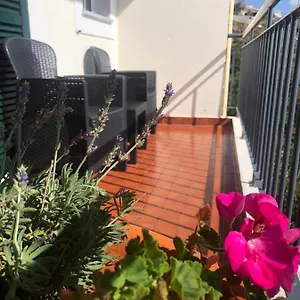 Sunshine Portugal