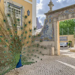 Solar Do Castelo - Heritage Collection - Alfama **** Лиссабон